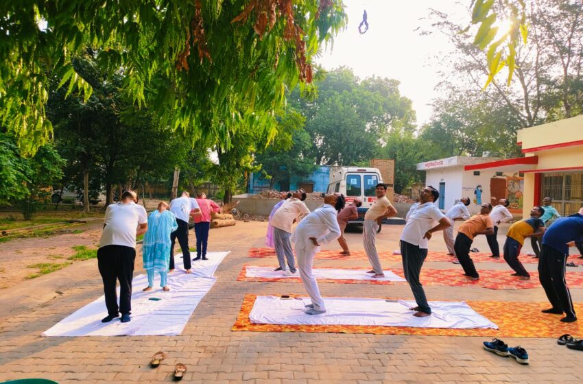  जसवंतनगर में ब्लॉक परिसर में कराया गया योगाभ्यास, अधिकारियों ने जाना योग का महत्व